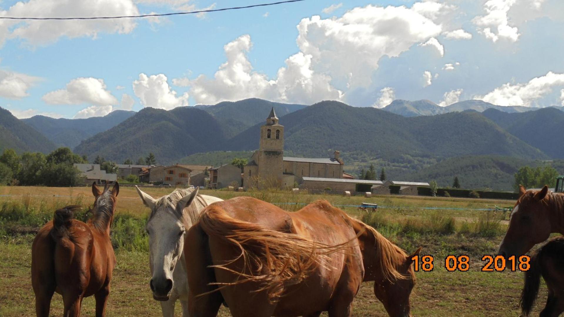 Can Vall Bellver Bellver De Cerdanya Εξωτερικό φωτογραφία